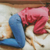 Girl Sleeping With Pets Diamond Painting