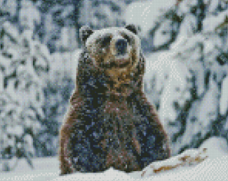 Grizzly Bear Animal In Snow Diamond Painting