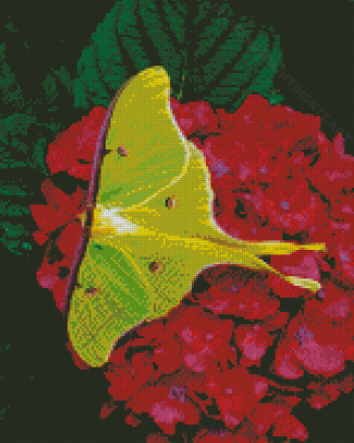 Moon Moth On Red Flowers Diamond Paintign