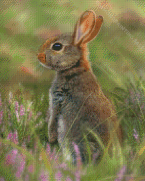 Rabbit In The Garden Diamond Painting