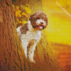 Beige And White Portuguese Water Dog 5D Diamond Painting