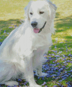 Cream Retriever Dog 5D Diamond Painting