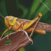 Grasshopper 5D Diamond Painting