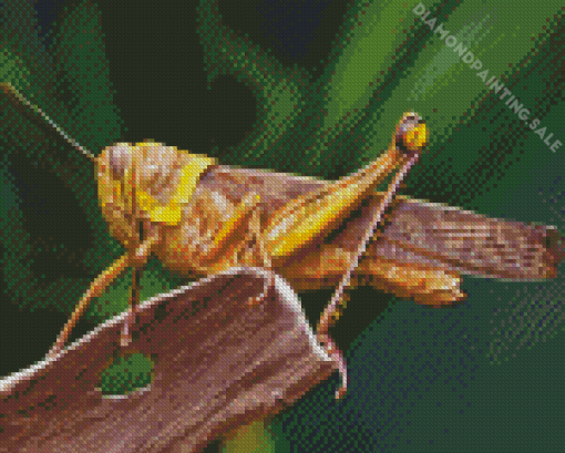 Grasshopper 5D Diamond Painting