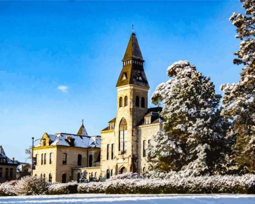 Kansas State University In Winter Diamond Painting