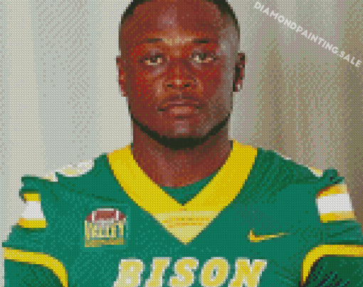 Ndsu Bison Player Diamond Painting