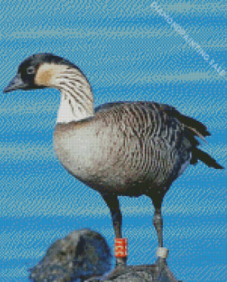 Nene Goose Bird Diamond Painting