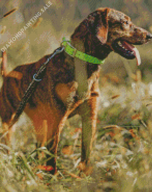 Plott Hound Dog Animal Diamond Painting