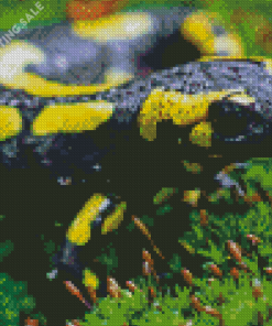Poisonous Salamander Diamond Painting