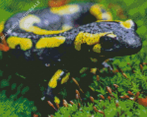 Poisonous Salamander Diamond Painting