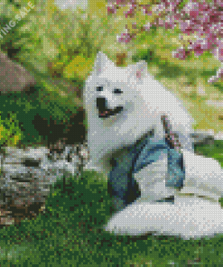 Samoyed Wearing Kimono Diamond Painting
