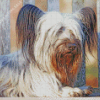 Skye Terrier Sitting Diamond Painting