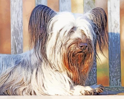 Skye Terrier Sitting Diamond Painting