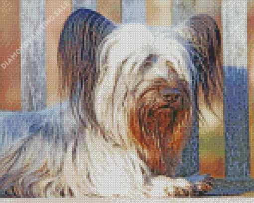 Skye Terrier Sitting Diamond Painting