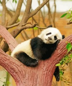 Giant Panda Sleeping On Tree For Diamond Painting