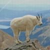 Aesthetic Mountain Goat Diamond Painting