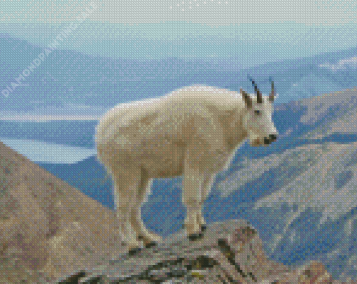 Aesthetic Mountain Goat Diamond Painting