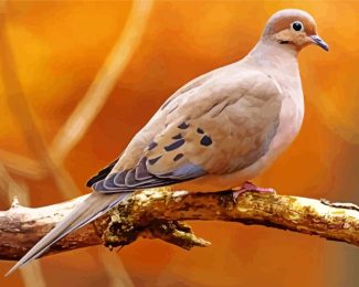 Aesthetic Mourning Dove 5D Diamond Painting
