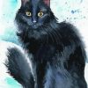Black Fluffy Kitty Diamond Painting