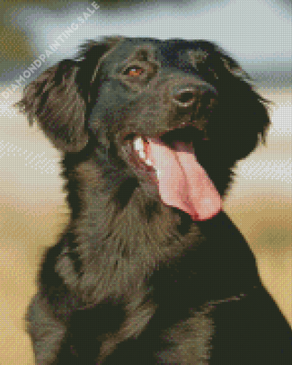Black Golden Retriever Dog Animal Diamond Painting