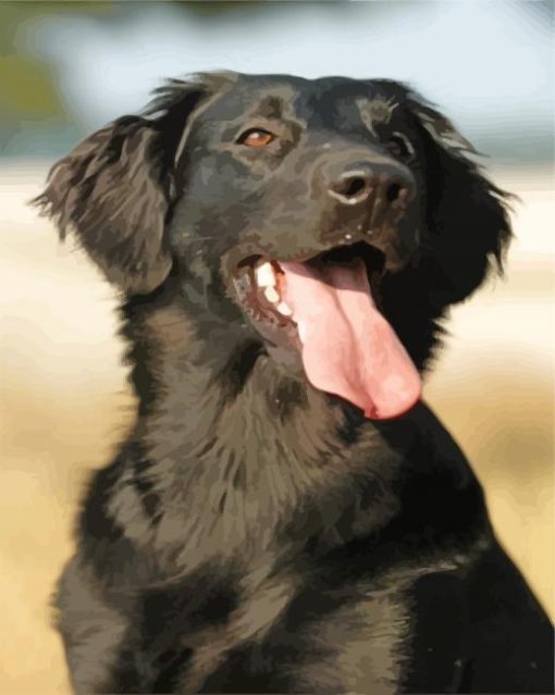 Black Golden Retriever Dog Animal Diamond Painting