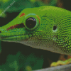 Green Western Desert Gecko 5D Diamond Painting