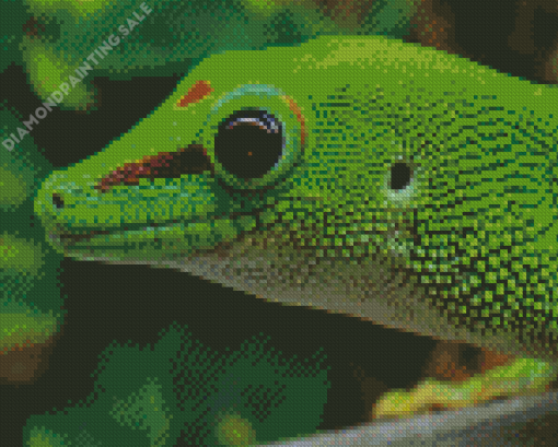 Green Western Desert Gecko 5D Diamond Painting