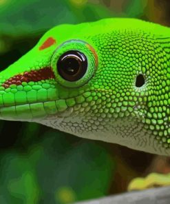 Green Western Desert Gecko 5D Diamond Painting
