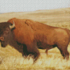 Buffalo Animal Diamond Painting