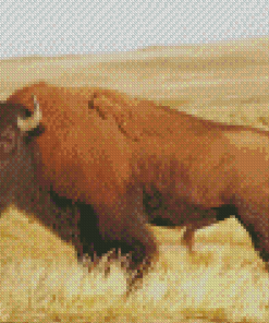 Buffalo Animal Diamond Painting