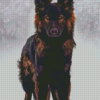 German Shepherd 5D Diamond Painting