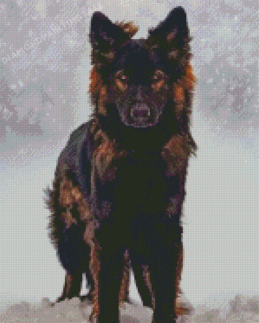 German Shepherd 5D Diamond Painting