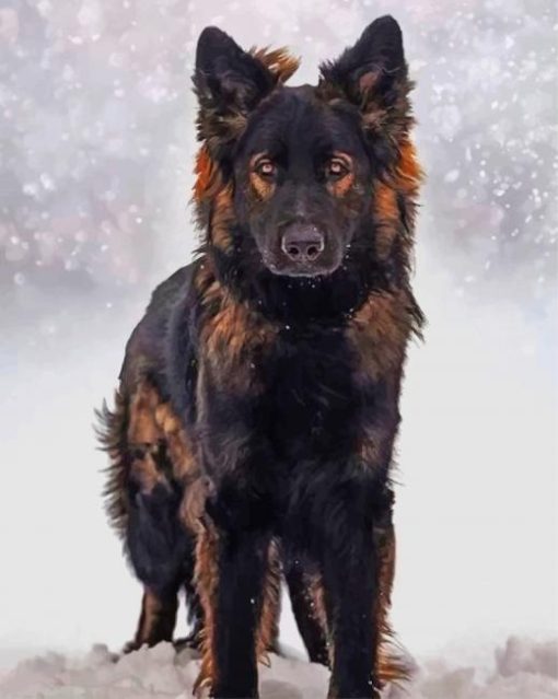 German Shepherd 5D Diamond Painting