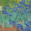 Irises Vincent Van Gogh Diamond Painting