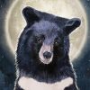 Black Bear With Moon 5D Diamond Painting