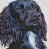 Black Spaniel Dog 5D Diamond Painting