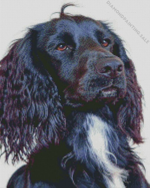 Black Spaniel Dog 5D Diamond Painting