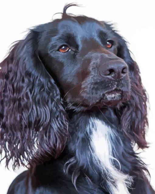 Black Spaniel Dog 5D Diamond Painting