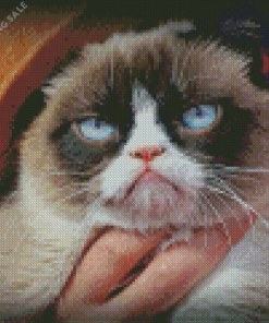 Cat Grumpy 5D Diamond Painting