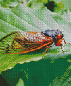 Cicada on Green Leaf 5D Diamond Painting