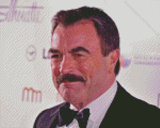 Close up Tom Selleck 5D Diamond Painting