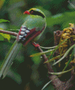 Common Green Magpie Bird 5D Diamond Painting