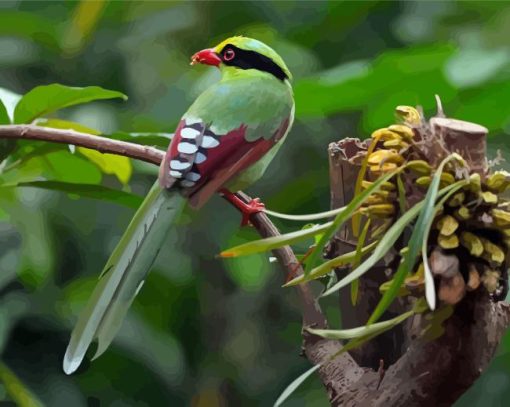 Common Green Magpie Bird 5D Diamond Painting