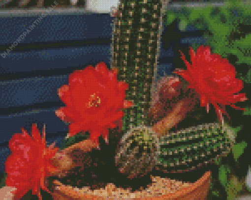 Echinopsis Chamaecereus 5D Diamond Painting