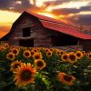 Flowers and Barn at Sunset 5D Diamond Painting