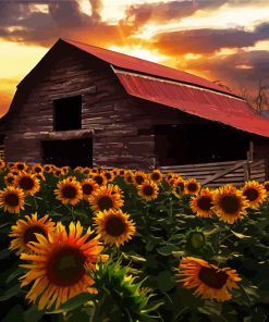 Flowers and Barn at Sunset 5D Diamond Painting