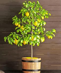 Lemons in Pot 5D Diamond Painting