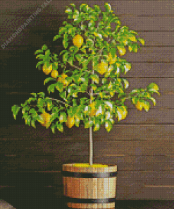 Lemons in Pot 5D Diamond Painting