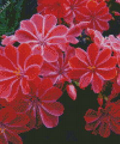 Lewisia 5D Diamond Painting