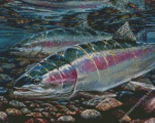 Steelhead Fish Underwater 5D Diamond Painting